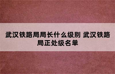 武汉铁路局局长什么级别 武汉铁路局正处级名单